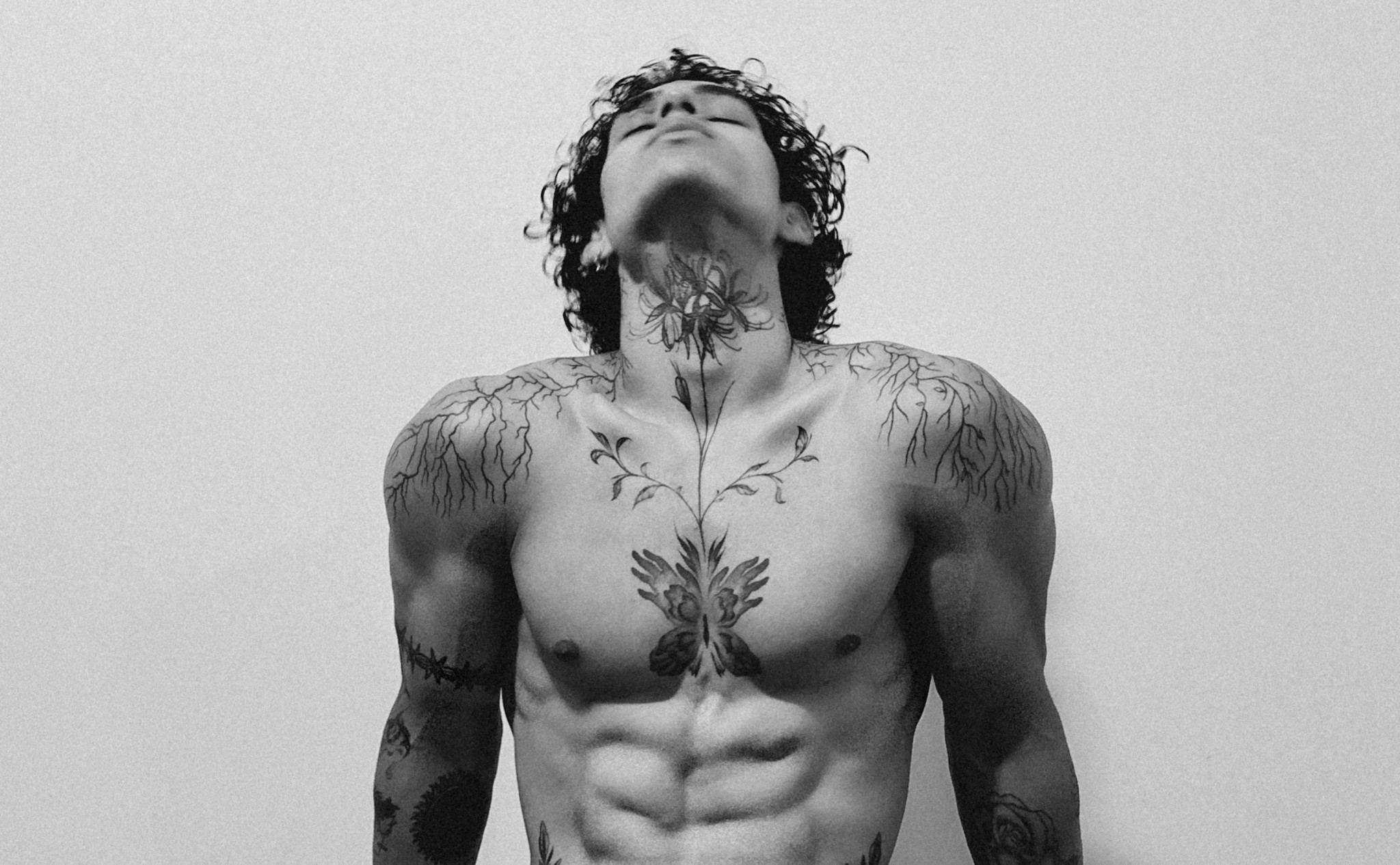 Solan - artistic portrait